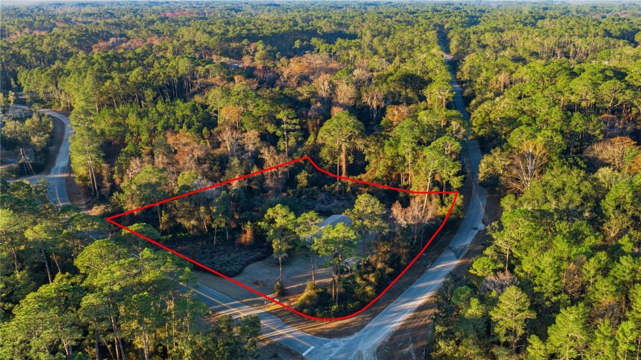 201 Plumosa Drive, Georgetown, FL 32139 Photo