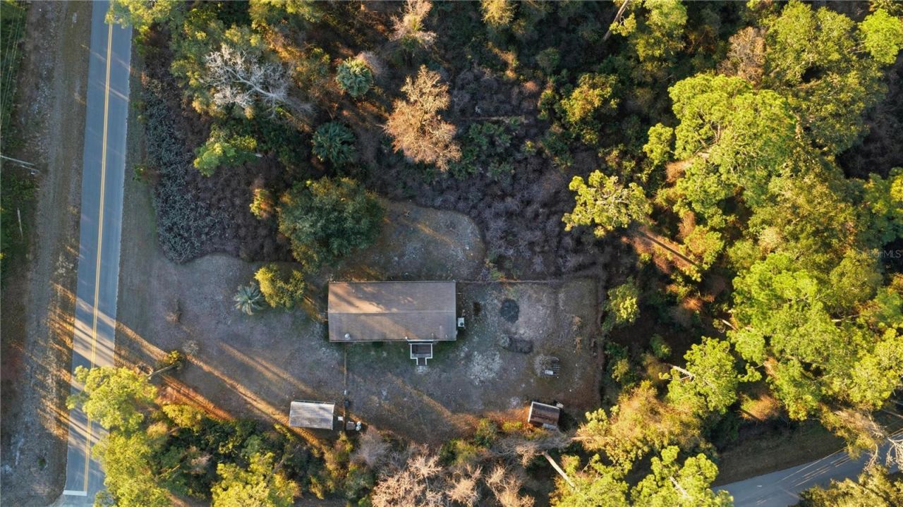 201 Plumosa Drive, Georgetown, FL 32139 Photo