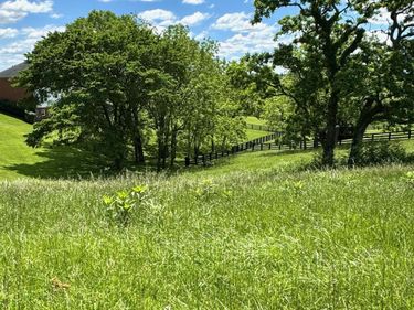 200 Victoria Way, Georgetown, KY 40324