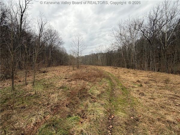 0 Red Brush Run Road, Ravenswood, WV 26164
