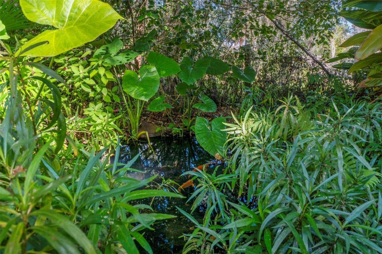 27910 Debbie Road, Okahumpka, FL 34762 Photo