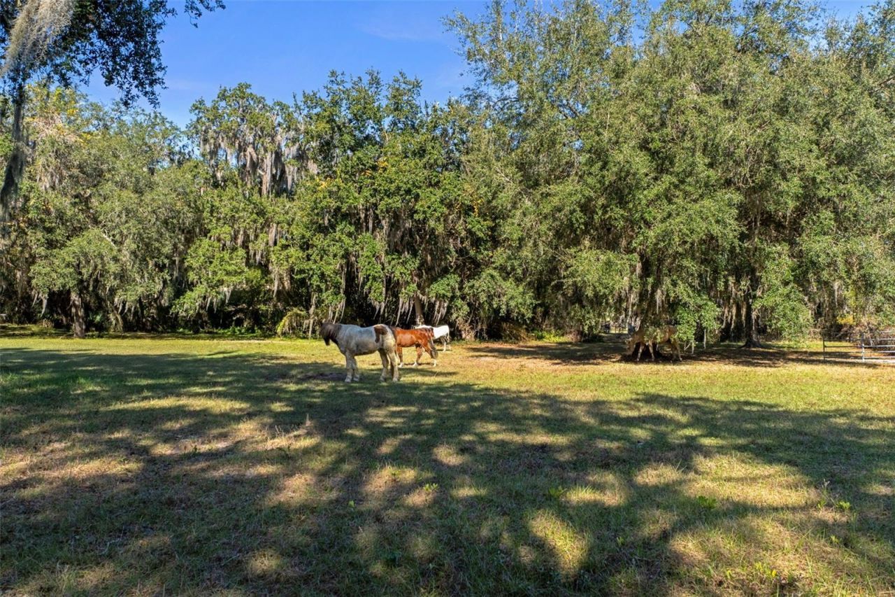 27910 Debbie Road, Okahumpka, FL 34762 Photo