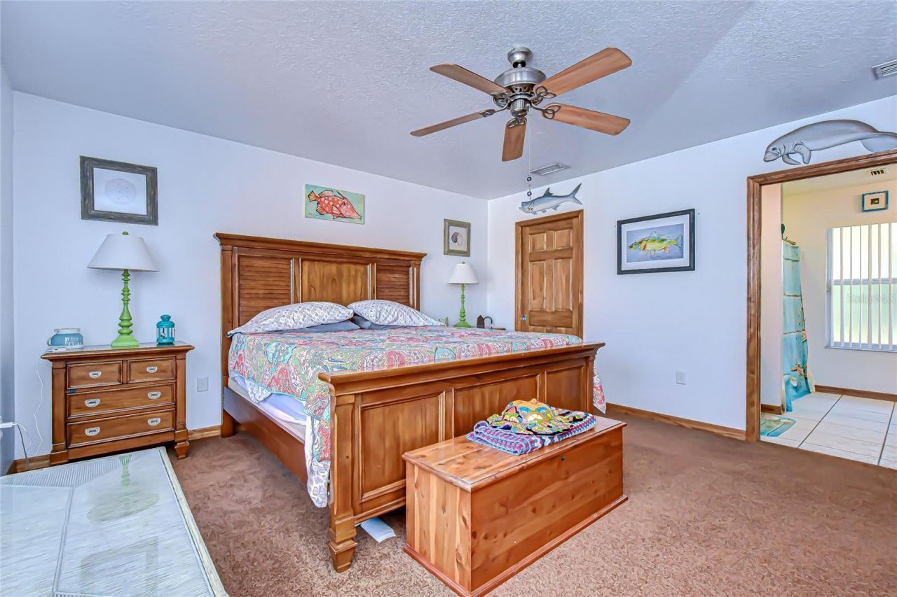 3719 Moores Lake Road, Dover, FL 33527 Photo