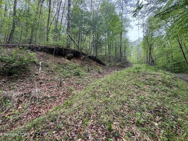 376 Summer House Hollow Rd , Del Rio, TN 37727