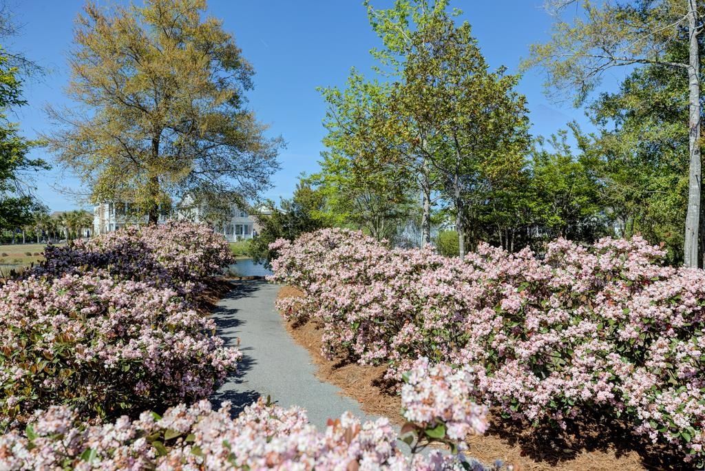 8155 Living Tide Dr. Photo 41