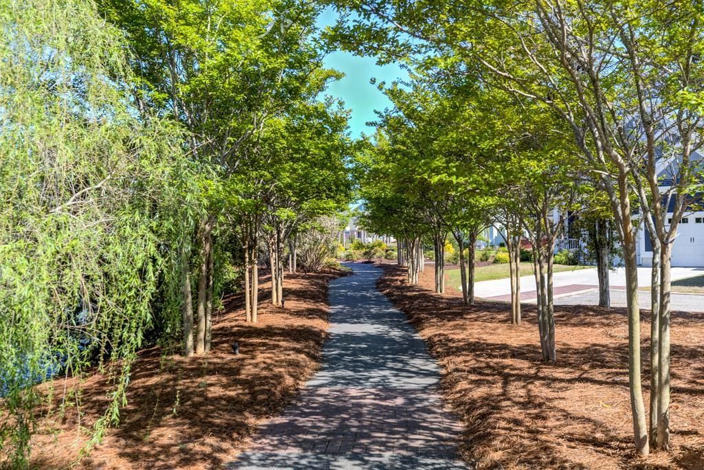 8155 Living Tide Dr. Photo 43