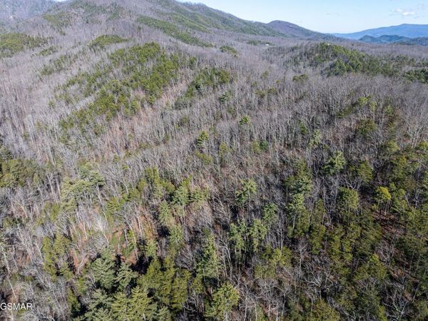 Tract 4 Wilhite Road, Sevierville, TN 37876