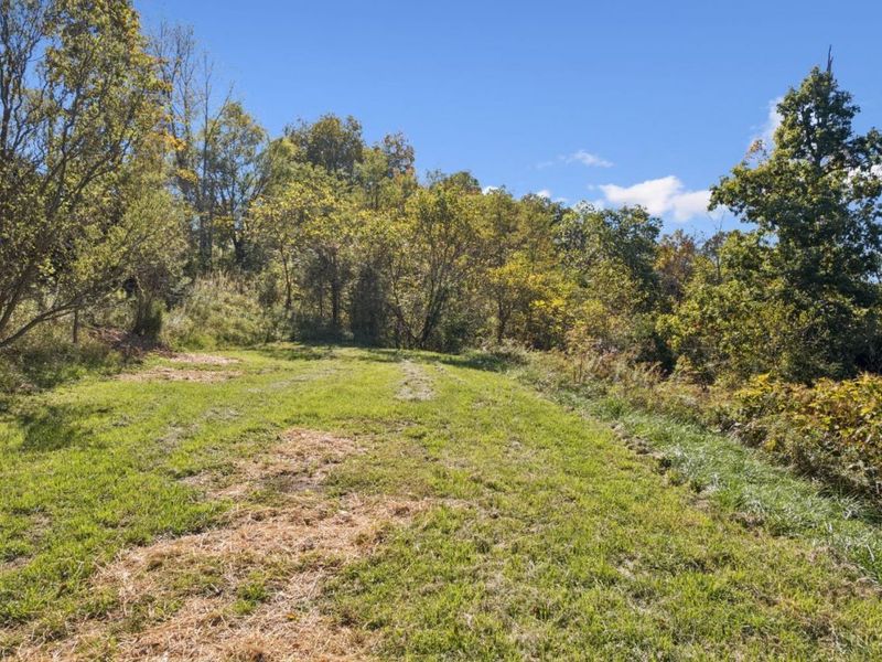 917 Logans Lane, West Union, OH 45693 Photo 23