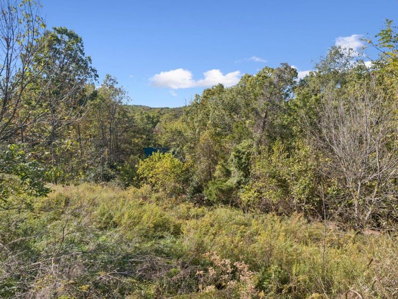 917 Logans Lane, West Union, OH 45693 Photo 25