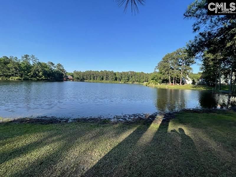 203 Pegonia Lane Photo 42