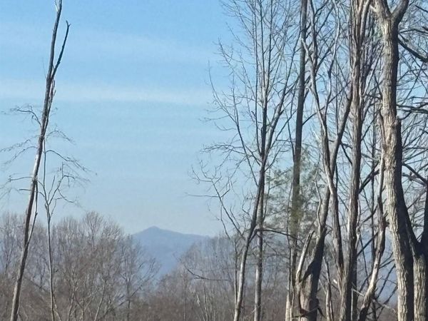 905 Hutch Mountain Road, Fletcher, NC 28732