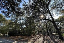 Lot 173 Sanderling Ave. photo 4