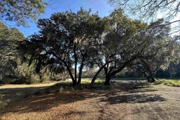 Lot 173 Sanderling Ave. photo 4