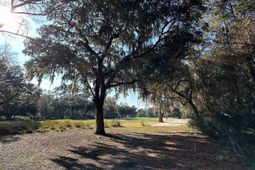 Lot 173 Sanderling Ave. photo 4