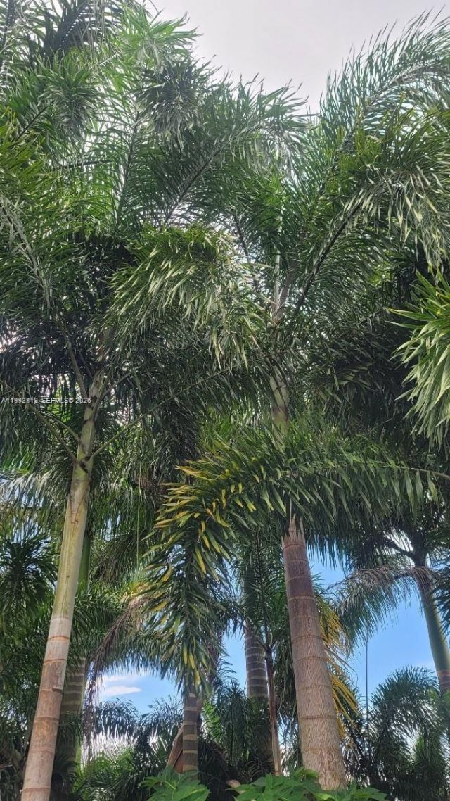 Please Call For Address, Miami, FL 33187 Photo