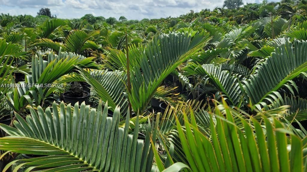 Please Call For Address, Miami, FL 33187 Photo