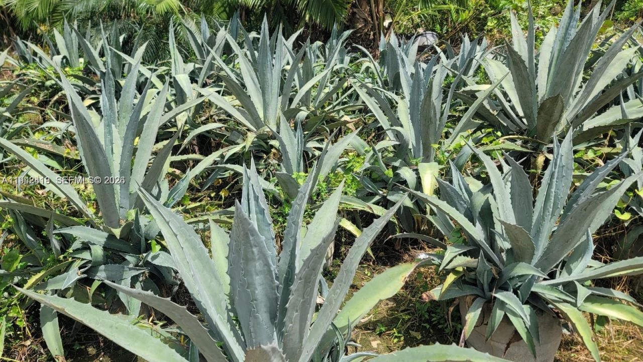 Please Call For Address, Miami, FL 33187 Photo