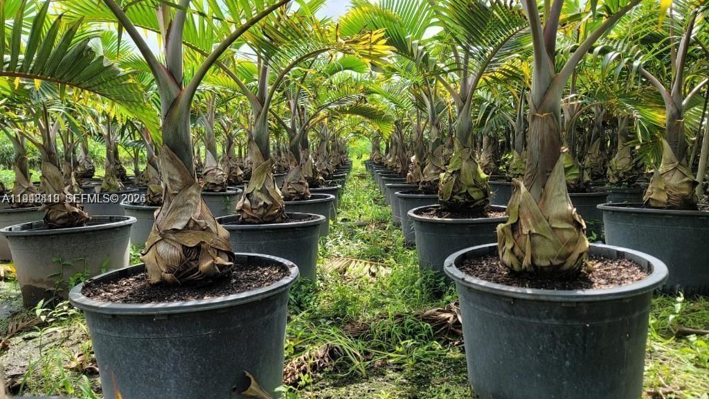 Please Call For Address, Miami, FL 33187 Photo