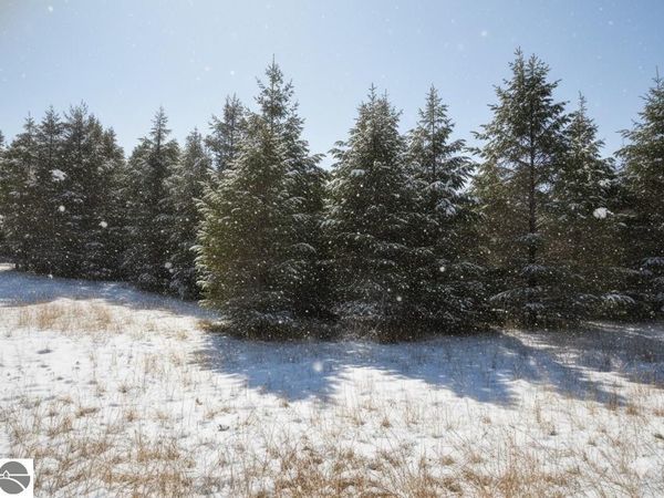 10 2 1/2 Road N, Buckley, MI 49620