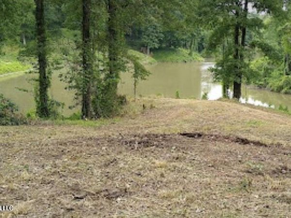 Woodland Lake Drive, Hernando, MS 38632