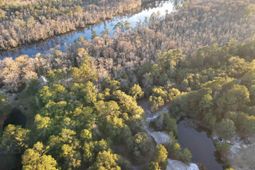 Tbd Francis Marion Dr. photo 4