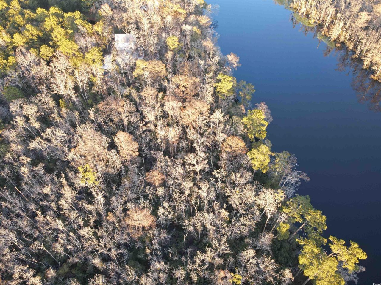 Tbd Francis Marion Dr. Photo 4