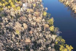 Tbd Francis Marion Dr. photo 4