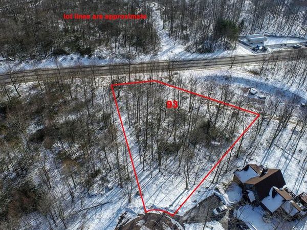 93 BLACK DIAMOND COURT, MC HENRY, MD 21541