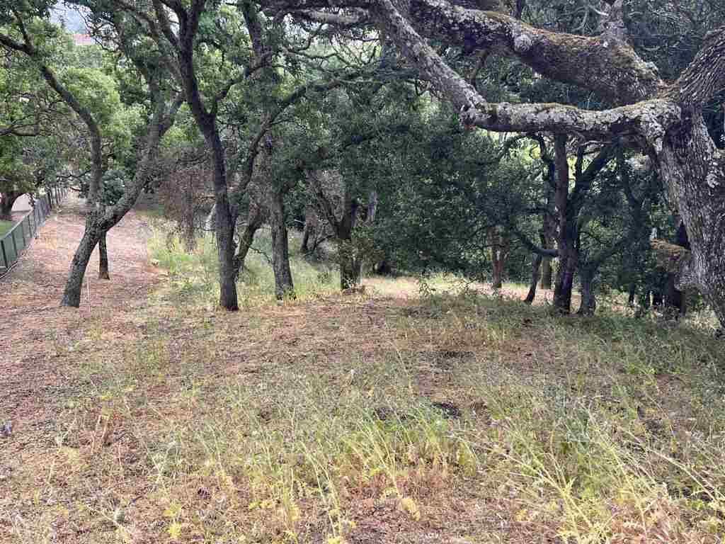 Turquoise Dr, Hercules, CA 94547 Main Photo