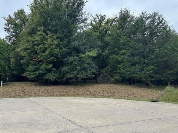 2099 Parkview Drive, Wills Point, TX 75169