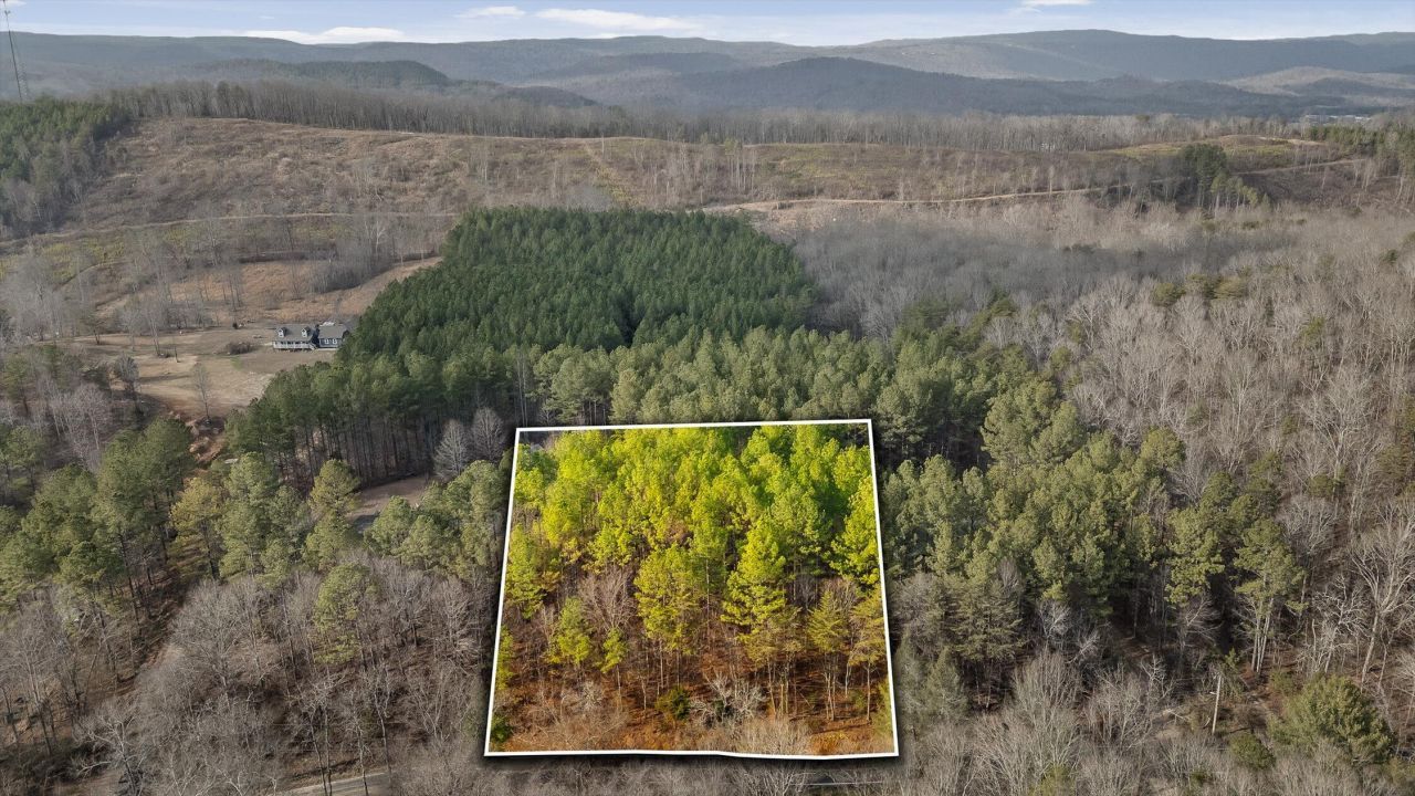 14675 Stormer Road, Sale Creek, TN 37373 Main Photo