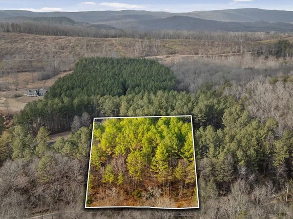 14675 Stormer Road, Sale Creek, TN 37373