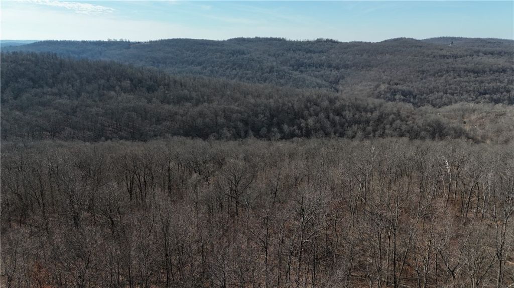 000 Possum Trot Park, Lot #ossum To, Compton, AR 72624 Main Photo