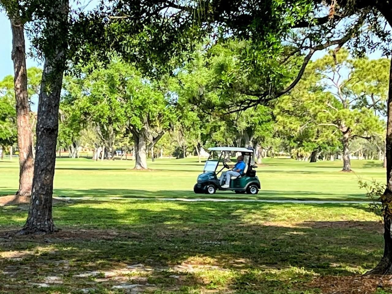 703 Whitfield Avenue, Sarasota, FL 34243 Photo