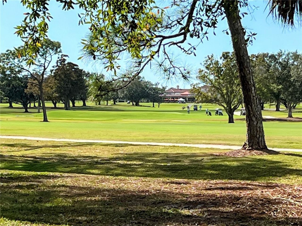 703 Whitfield Avenue, Sarasota, FL 34243 Photo