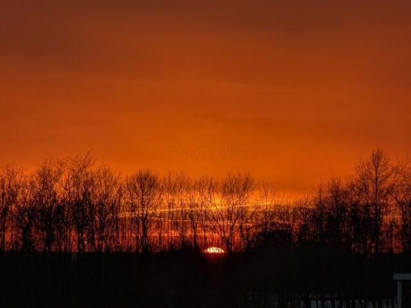 25415 Shoemaker Road, Circleville, OH 43113 Photo 6