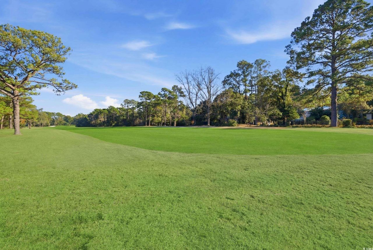 1203 Crooked Oak Dr. Photo 38