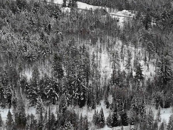 00 Wheelock Road, Sutton, VT 05867