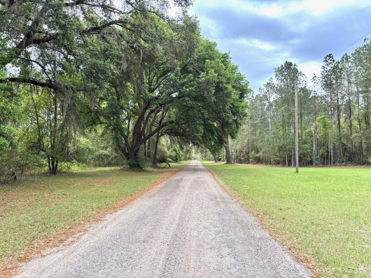 Vacant SW Ontario Road, Greenville, FL 32331 Photo