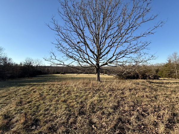 45972 Hwy 72 Tract 5 , Salem, MO 65560