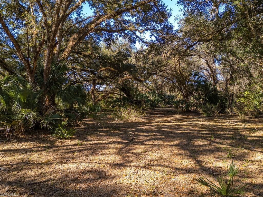 18201 Persimmon Ridge Rd, Alva, FL 33920 Photo