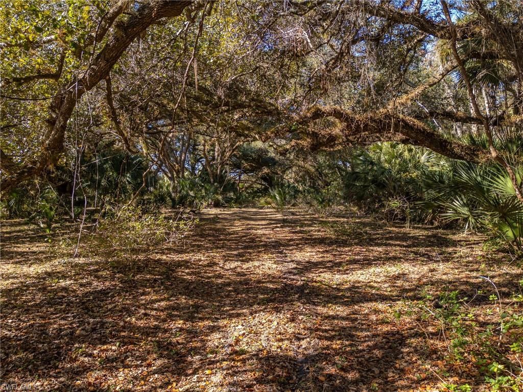 18201 Persimmon Ridge Rd, Alva, FL 33920 Photo