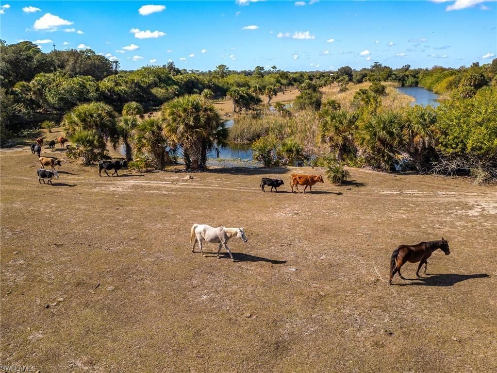 18201 Persimmon Ridge Rd, Alva, FL 33920 Photo