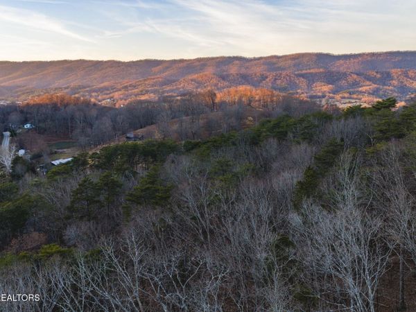 1655 Lester Whitt Rd, Rutledge, TN 37861