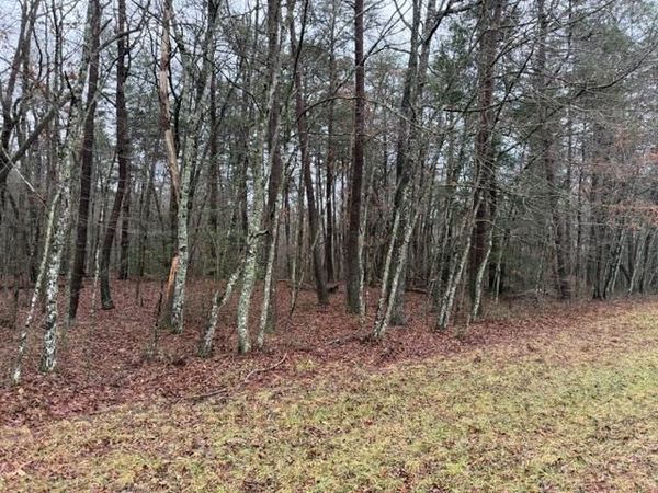 Lot 5 Cumberland Lakes Dr, Monterey, TN 38574