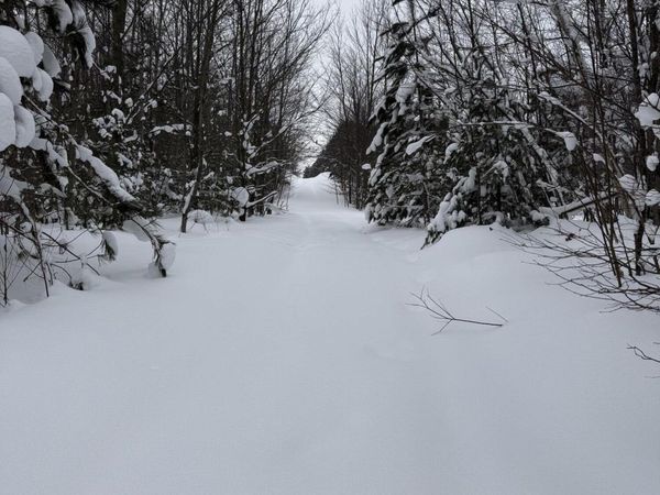 V/L 5 AC Little Lane NE, Kalkaska, MI 49646