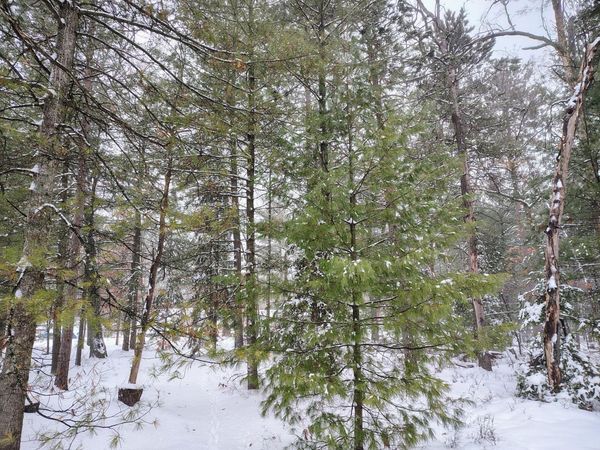 Lot 167 Deer Run Boulevard, Prudenville, MI 48651