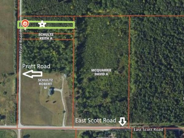 V/L Pratt Road, Ossineke, MI 49766