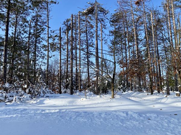 1840 Tree Farm Road, Gaylord, MI 49735