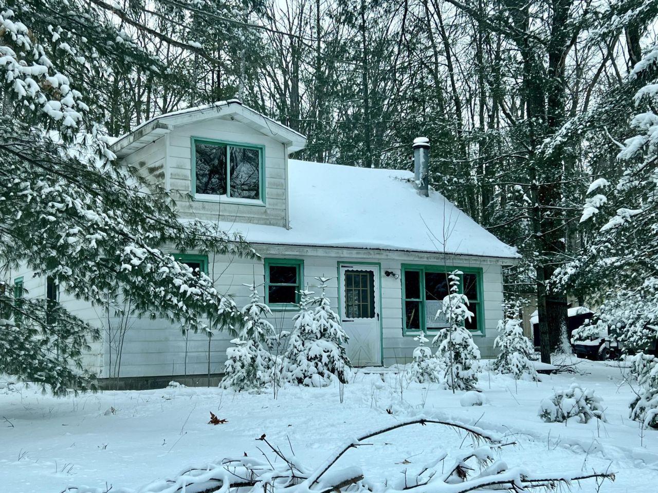 11325 Jackson Lake Road, Atlanta, MI 49709 Main Photo